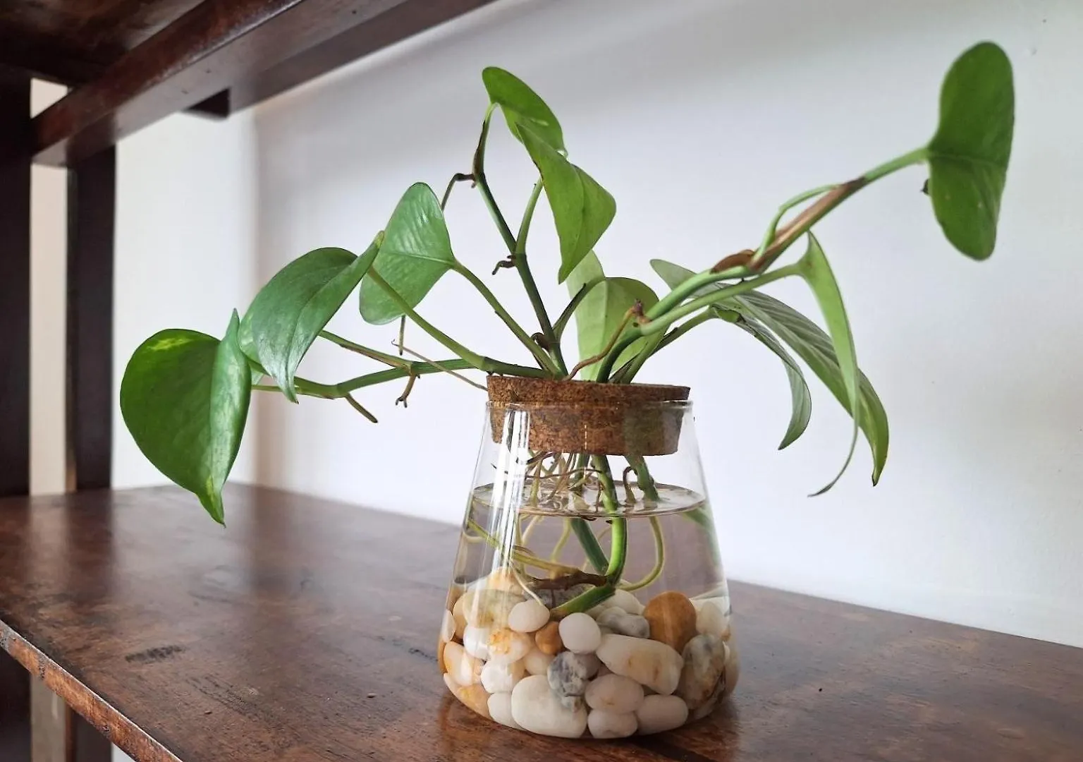 The Interlude Art Retreat Hotel Hoi An 0*,  Vietnam
